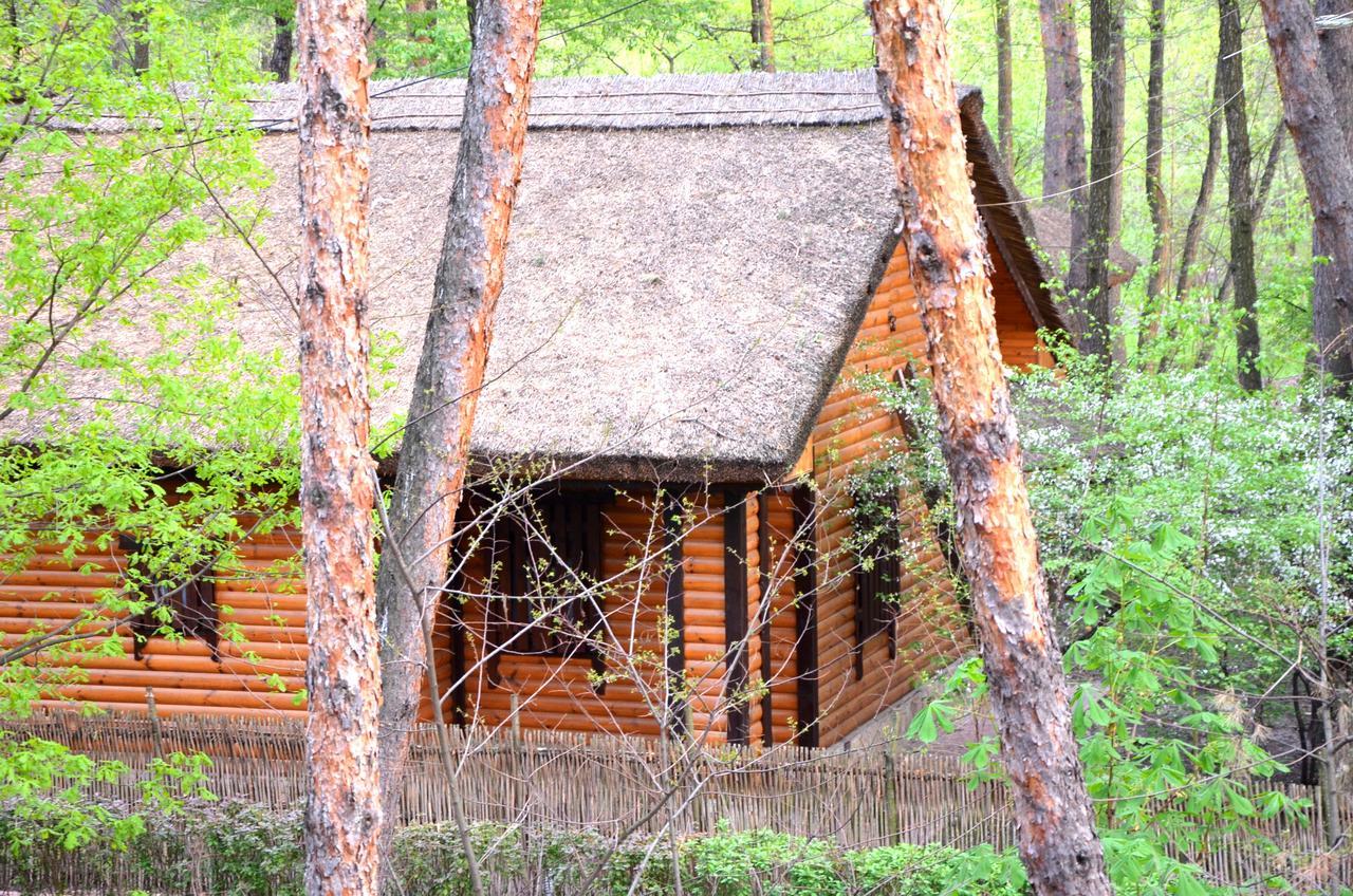 Chumatskiy Shlyah Romankiv Екстериор снимка